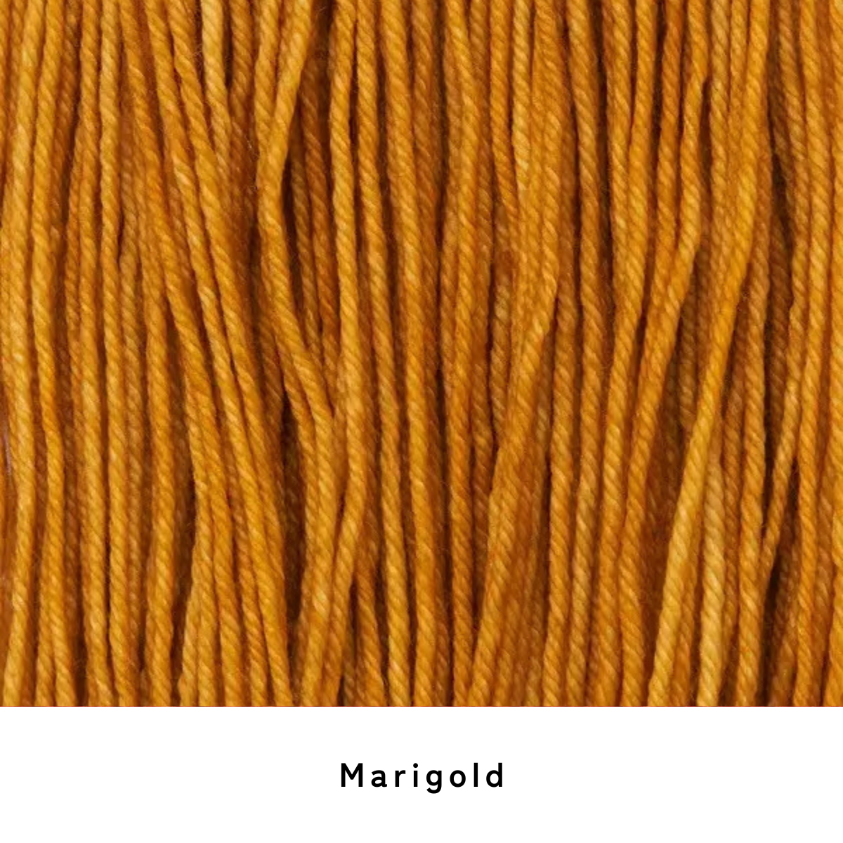 Sunny Poncho 糸セット - Periwinkle x Marigold
