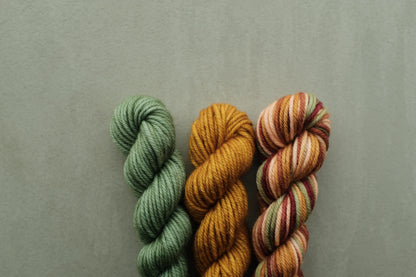 RWS Merino Wool 20g 3かせセット - Jadeite, Rustic Space Dye...