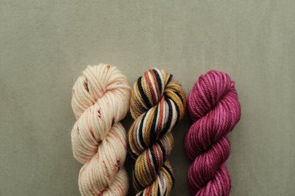 RWS Merino Wool 20g 3かせセット - Fuchsia, Dusty Rose Confetti...