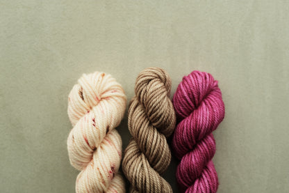 RWS Merino Wool 20g 3かせセット - Fuchsia, Dusty Rose Confetti...