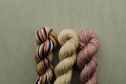 RWS Merino Wool 20g 3かせセット - Antique Rose, Solstice Space Dye...